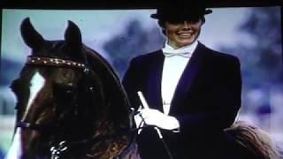 Celebrate Kentucky: American Saddlebred Museum