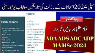 PU Result of Supply Exams 2024 ADA ADS ADC ADP & MA MSc Exams | Punjab University