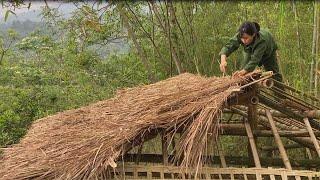 How To Make Bamboo House, Bamboo Roof, Build A New Life I Bamboo Forest Girl