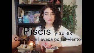 Piscis y su ex  Como hoja llevada por el viento