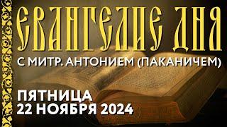 Толкование Евангелия с митр. Антонием (Паканичем). Пятница, 22 ноября 2024 года.