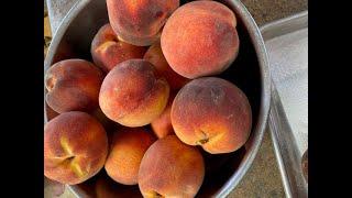 How to make Peach Jam!!! South for your Mouth Style.