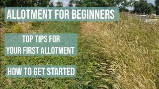  BEGINNER ALLOTMENT VEGETABLE GARDEN || LETS GET STARTED || TOP TIPS FOR BEST RESULTS 🫛