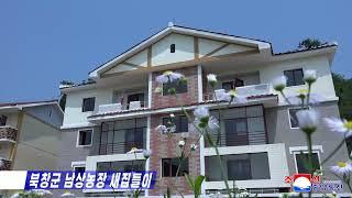 New Free Homes at Namsang-ri in Pukchang County of South Pyongan Province, DPRK [Korean]