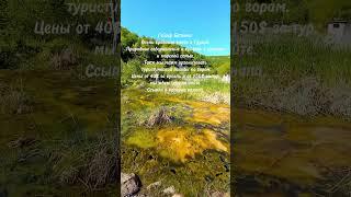 Горные походы в стране Грузия только у нас от 150$ ссылка в профиле канала #поход #природа #туристуз