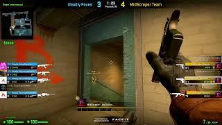 Шоу-Матч по CS GO [Deadly Foxes -vs- MidScreper] @Alexkn1feTV