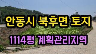 [토지매매057] 경북땅 안동땅 토지 경북북부 계획관리지역 1114평 논 매매