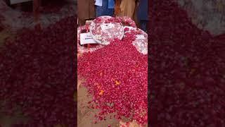 Sir Bilal Pasha sab Sir, you said right #bilalpasha #cssaspirant #2023 #viralvideo #shorts