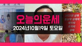 오늘의운세 2024년10월19일 토요일 띠별운세 총운 / 11월 운세 #운세 #오늘의운세 #11월운세