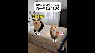 男生永远听不清第一句的BUG  #猫meme #搞笑 #喵哥是萌新  #猫meme小剧场 #cat #人類迷惑行為  #meme #funny #沙雕剧情  #meme猫