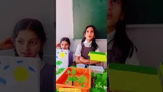 Science day celebration of Zainab Queen2025-02-27