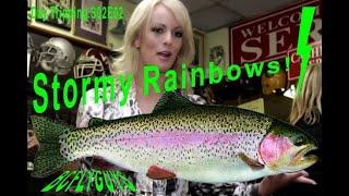 Stillwater Fly Fishing: Stormy Rainbows - BCFLYGUYS Day Tripping S02E02 #flyfishing #fishing