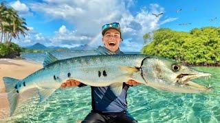 Barracuda géant de la Guadeloupe, la grande mission de pêche exotique !!