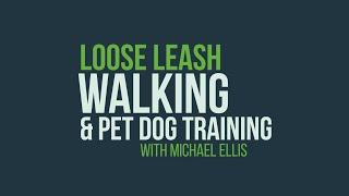 Loose Leash Walking & Pet Dog Training with Michael Ellis