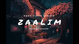 zaalim || Soft vibes studio || slowed reberb || Badshah