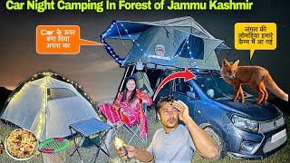 जंगली गीदड़ Camp के पास आ गये | Car Night Camping in Forest of JAMMU KASHMIR PUNJAB HIMACHAL Border