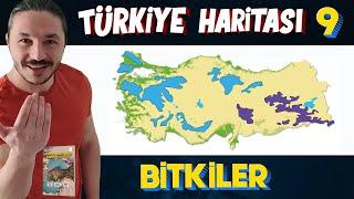 TÜRKİYE'NİN BİTKİLERİ - Türkiye Harita Bilgisi Çalışması  (KPSS-AYT-TYT)