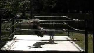 Backyard wrestling (canadien destroyer)