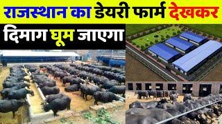 buffalo dairy farm in india | buffalo dairy farm video | buffalo dairy farm business plan