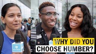 Why did you choose Humber?