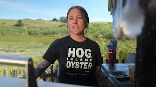 How To: Grill an oyster with Hog Island Oyster Co.