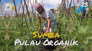 SUMBA PULAU ORGANIK - Ekspedisi Indonesia Biru #23