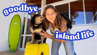 I left the paradise island and moved back to the city | Moving vlog