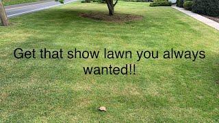 Jump start your lawn. The right way!