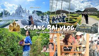  Chiang Rai vlog ️ | white temple, markets, field trip, workshops!! | Mae Fah Luang University |