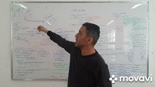 патофизиология кожи