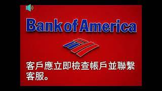 美國銀行(Bank of America) 客戶 帳戶餘額顯示為0美元或破折號 - WaCow News Flash