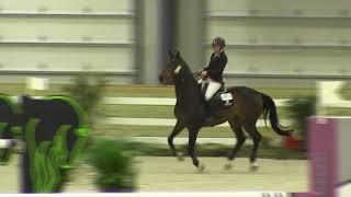 Video of CASSONETTI ridden by LIZA B. REID from ShowNet!