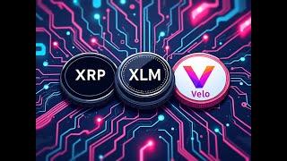 $800 Trillion to be Tokenized - XRP XLM VELO | The Deeper Dive