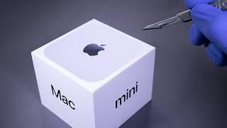 Mac Mini M4 Unboxing - ASMR