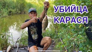 Рыбалка на УБИЙЦУ КАРАСЯ, Огромный карась, линь на СЕКРЕТНОМ ВОДОЁМЕ