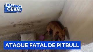 Mulher morre após ser atacada pelo pitbull do sobrinho no Rio de Janeiro