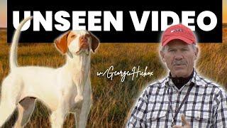 My Proven Method to Steadying Your Bird Dog to Wing and Shot