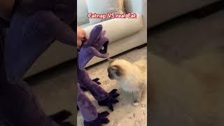 Catnap VS real Cat   #fnafplush #fnafplushies #catnap #plushtoys #plushvideos