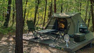 [4K] Camping in the perfect pine forest