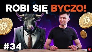 Robi się byczo! | Kanga Trends - Analiza Rynku Kryptowalut #34