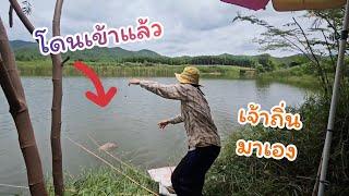 #ตกปลาคันไม้ไผ่ ตั้งใจมาตกปลาเล็ก แต่กันเจอของใหญ่ในวันที่อุปกรณ์ไม่พร้อม