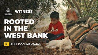 25 years of resisting Israeli settler violence in the occupied West Bank | Witness Documentary