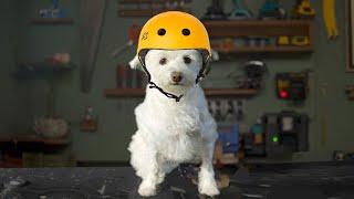 I made an electric skateboard for my dog