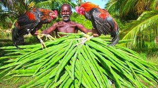 COUNTRY CHICKEN WITH DRUMSTICK | Delicious Village Style Drumstick Chicken Recipe | GRANDPA