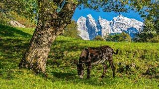 Soglio - Val Bregaglia