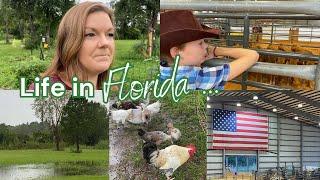 Life in Florida | Large Family Vlog