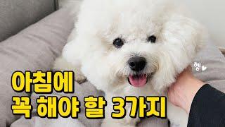 보호자라면 아침에 일어나 강아지에게 꼭 해주세요