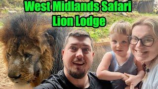 Sleeping With The Lions At West Midlands Safari Park | Vlog 314