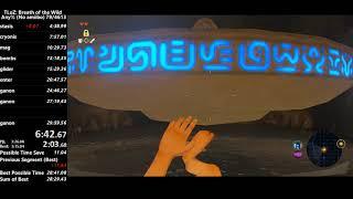 BotW any% 29:17 (No amiibo)