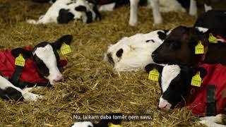 BALTA klientu pieredze: SIA “Agro Kaķenieki” stāsts